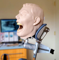 Dental Intraoral X-Ray Radiopaque Simulator Manikin Complete Radiology Examination Teeth Tongue Parts