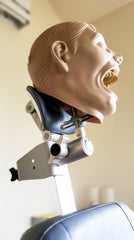 teeth x-ray radiography system phantom