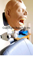 dental radiography x-ray manikin schools training practice