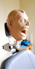 dental x-ray training manikin