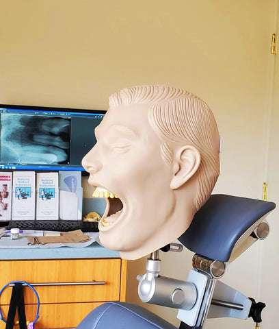 oral x-ray simulator manikin