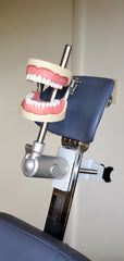 tooth extraction model