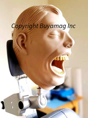 dental x-ray simulator phantom radiology system
