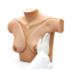 breast self examination manikin