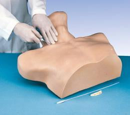 Central Venous Cannulation Training Simulator