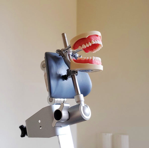 dental simulator manikin pactice