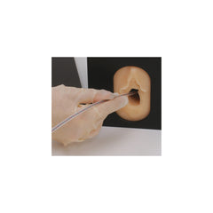 fetal heart monitoring electrode insertion simulator model manikin phatom