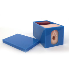 Fetal Monitoring Cervical Dilation Labor Progress Model exam