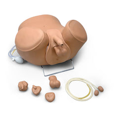 prostate examination manikin simulator model