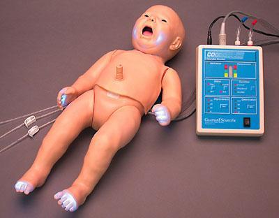 neonatal newborn baby model