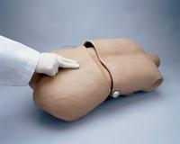 Lumbar Puncture Trainer Life - Size Torso