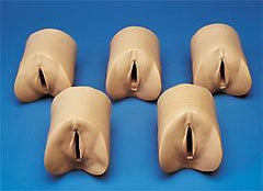 Cervix Vaginal Dilation Module - Assessing Cervical Dilation