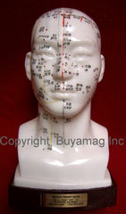 acupuncture points head model