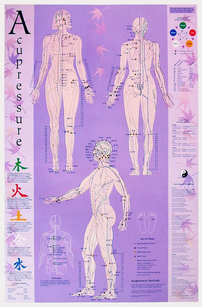 acupressure chart point poster