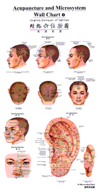 acupuncture microsystem chart