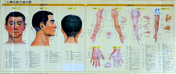 acupuncture poster chart