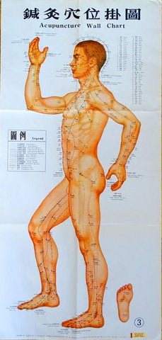 acupuncture poster chart