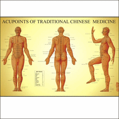 acupuncture points poster chart