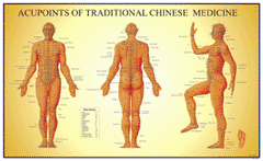 acupuncture points chart