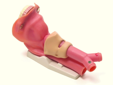 airway intubation ventilation simulator