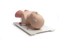 airway manikin model