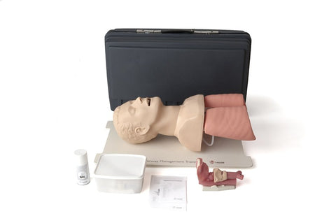 airway simulator manikin