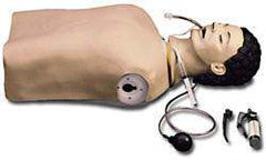 Airway Adult Management Trainer Manikin