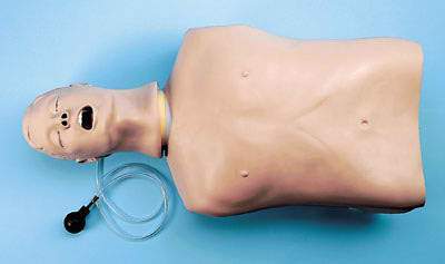 Airway Management Trainer Torso Simulator