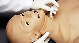Airway Training Simulator model