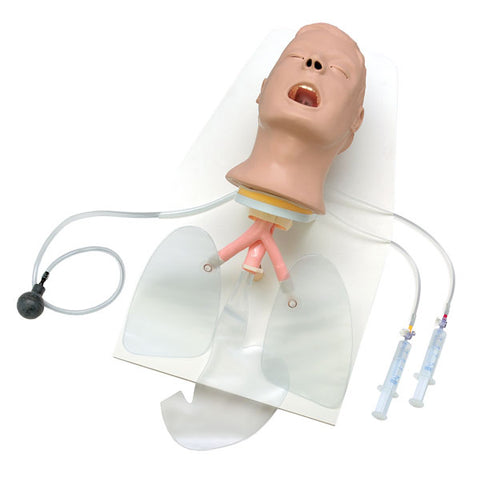 Airway Management Training Manikin