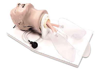 Airway Larry Airway Management simulator