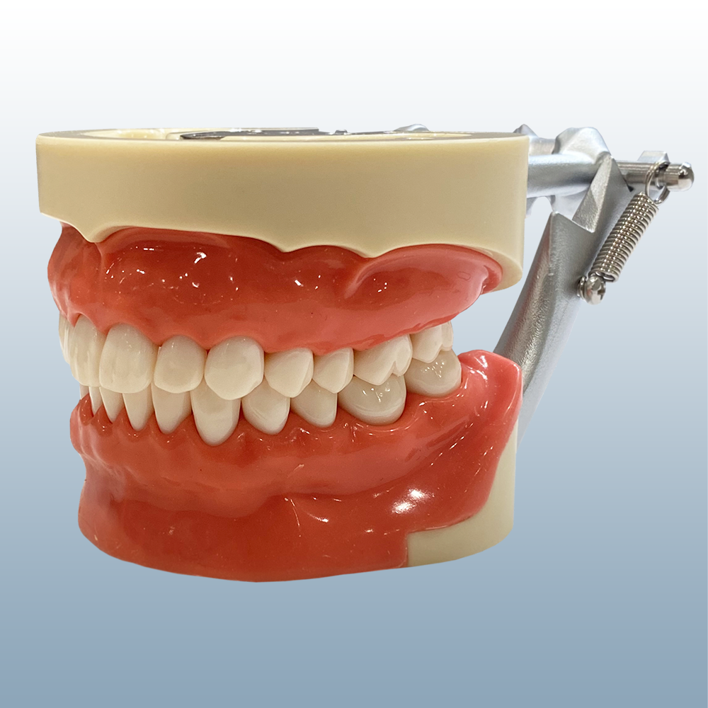 Kit Di Elevatori Dentali Per Estrazione Radici - Set Chirurgico In Acciaio Inox, INSTUMAX® - Foto 3