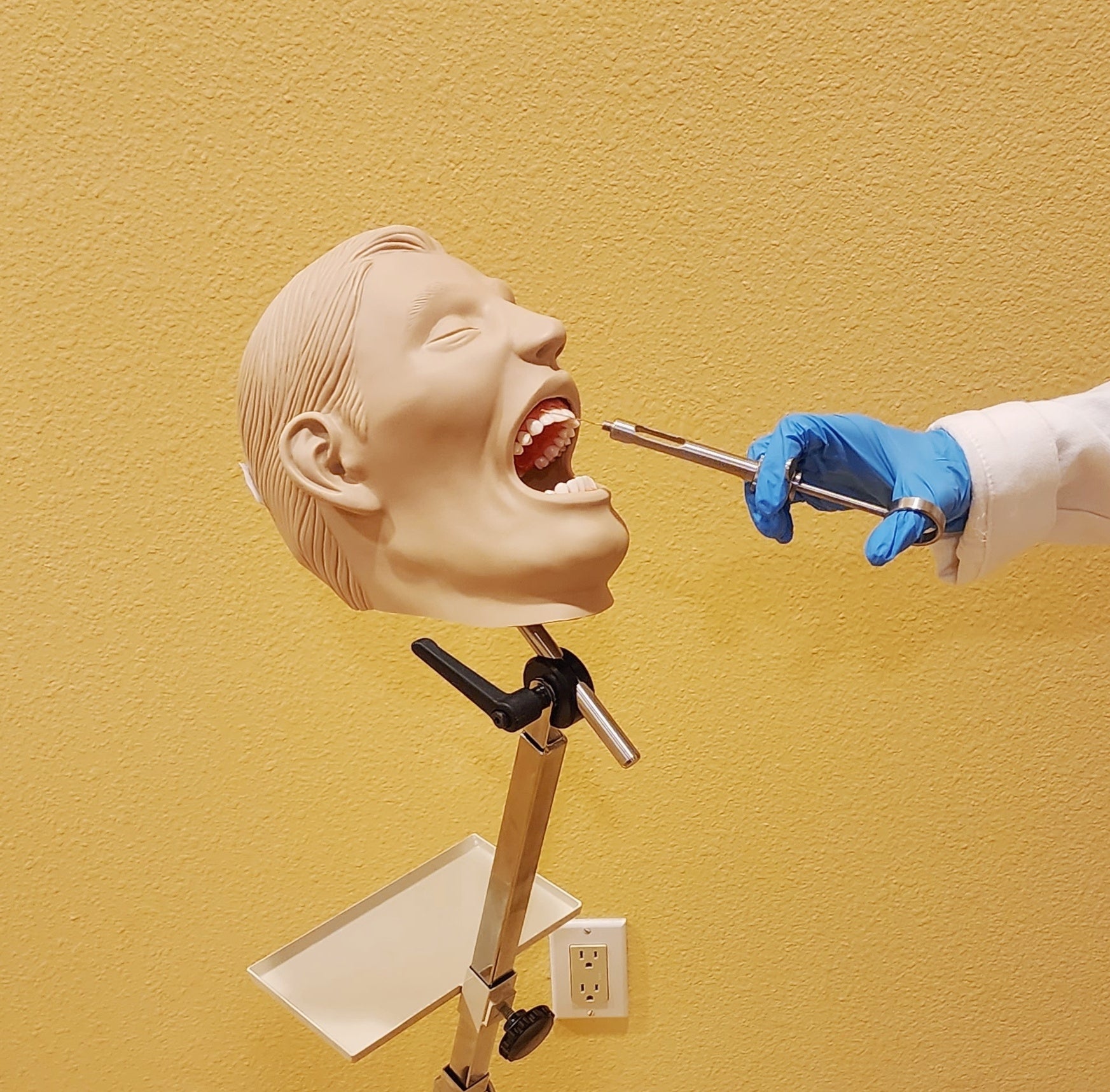 Dental Oral - Anesthesia Manikin : Simulator Buyamag – Buyamag INC