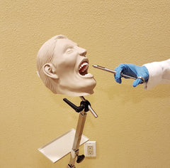 dental anesthesia manikin