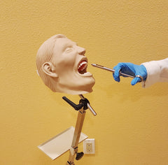 dental oral anesthesia manikin