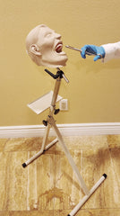 oral anesthesia simulator model phantom