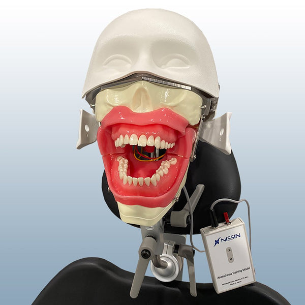 Dental Oral Anesthesia Manikin Practice Simulator