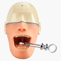 dental anesthesia model manikin