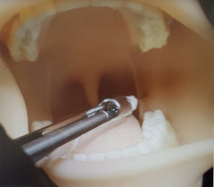 dental anesthesia training manikin 