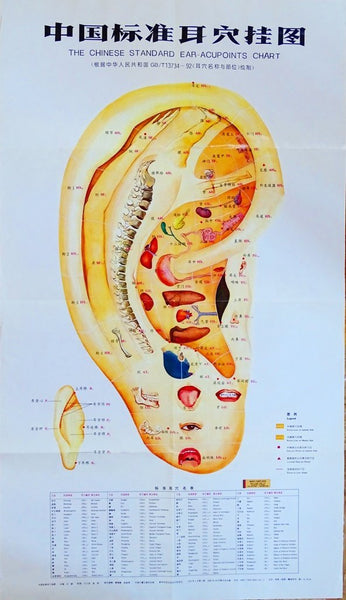Ear Root Point Ear Auricular Points : Chart Poster - Buyamag – Buyamag INC
