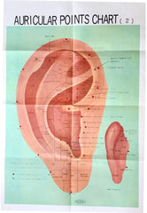 Ear Auricular Points Acupressure Treatment Chart Poster
