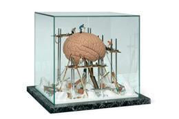 Brain Repair Reconstruction Anatomical Art Display