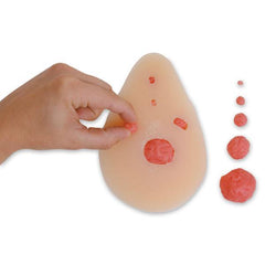 Breast Self Examination Model With Interchangeable Nodules