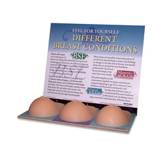 Breast examination model simulator