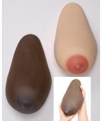 breast lactation model