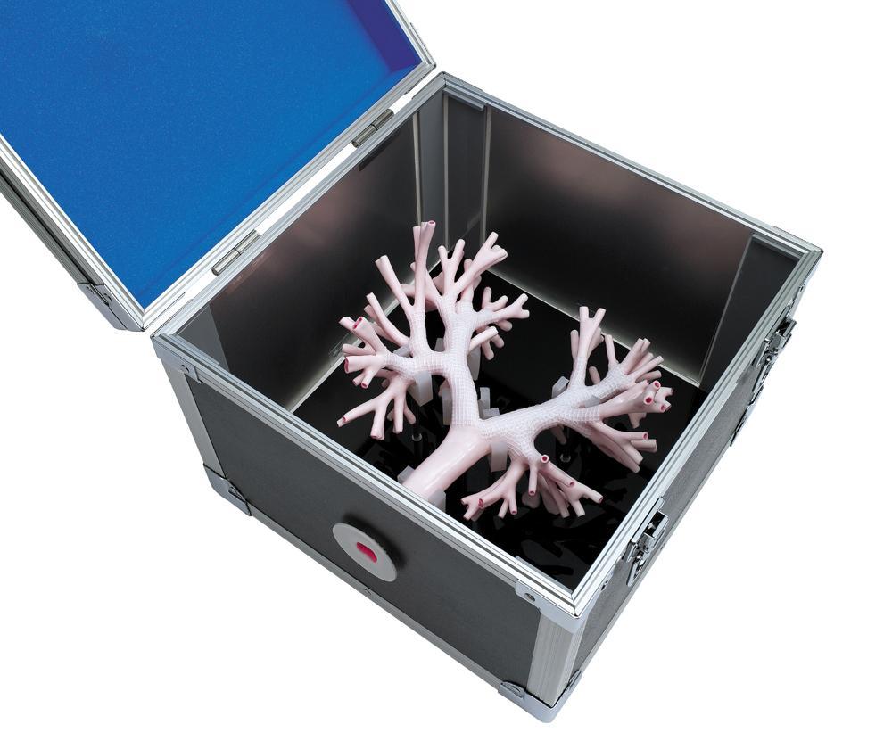 Bronchscopy Simulators Lungs Bronchoscopy Training Model- Simulator Buyamag – Buyamag INC
