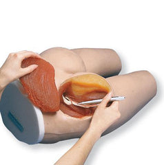 intramuscular injection manikin