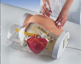 human bottock intramuscular injection simulator