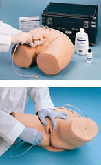 male catheterization manikin