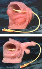 Catheterization Simulator Female & Male